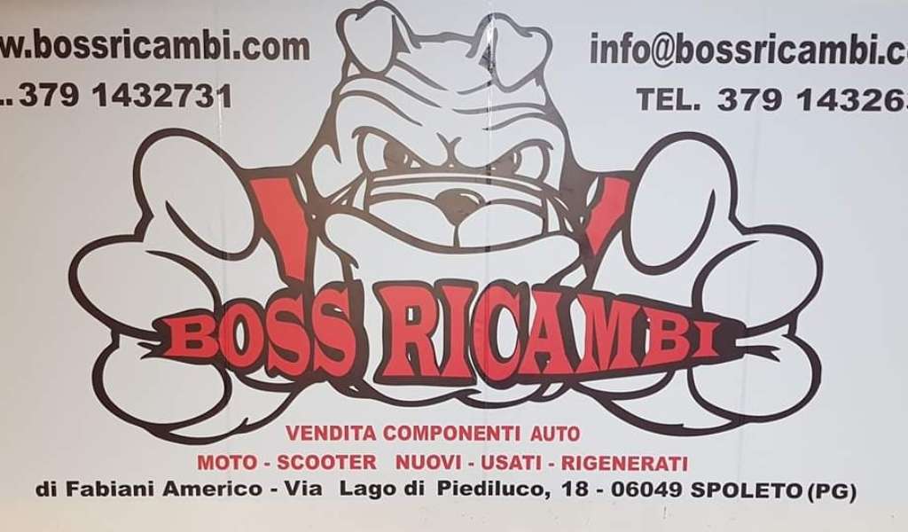 BossRicambi