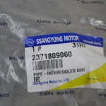 Manicotto Tubo Intercooler SsangYong Kyron dal 2005 al 2014 Cod 2371809060 acquista online
