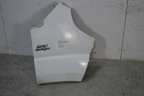 Parafango anteriore DX Fiat Ducato Dal 2006 al 2014 Bianco acquista online